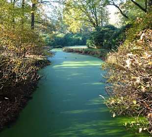 Herbstspaziergang durch den Schlosspark Lütetsburg
