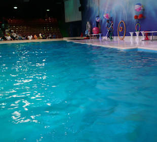 Dolphinarium
