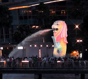 Farbspiel des Malayen