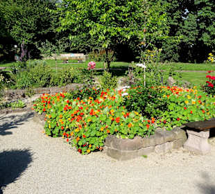 Impressionen aus dem Interkulturellen Garten