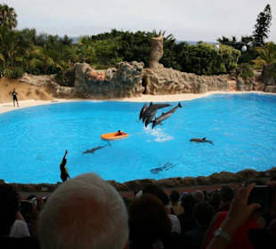 Ausflug nach Loro Parque