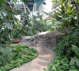 Der Park unter dem Riesenrad