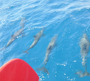 Sonnenuntergangstour