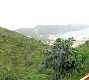 Blick vom Aussichtspunkt