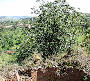 Burg Slimnic/Stolzenburg