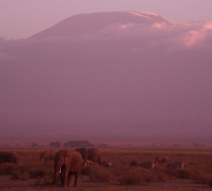 Amboseli Nationalpark