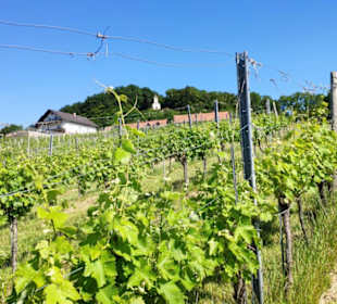 Blickrichtung Schemmingkapelle