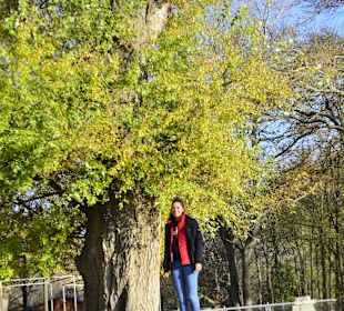 Wandern Tiflis / Tbilisi