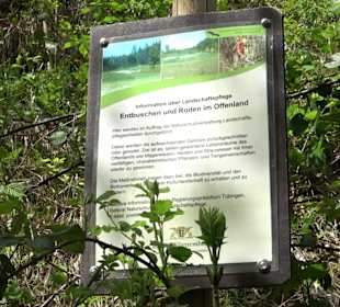 Wandertour durchs Reissenbachtal Oberhausen