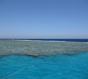 Ausflug & Schnorcheln