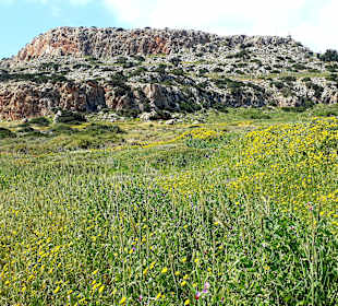 Nationalpark Kap Greco