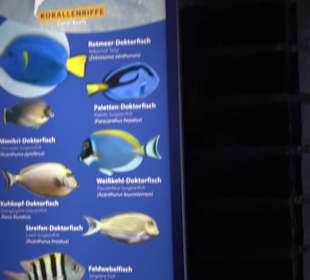 Aquarium