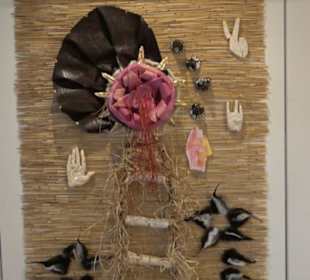 Museum Natur und Mensch