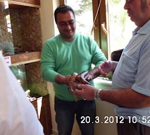 Im Tierpark einer deutschen Auswanderer-Familie