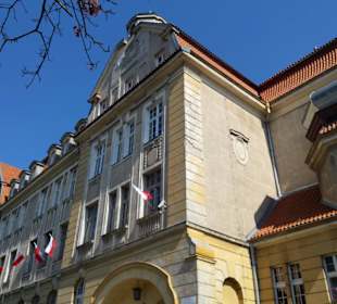Stare Miasto
