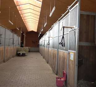 Haupt- und Landgestüt Marbach