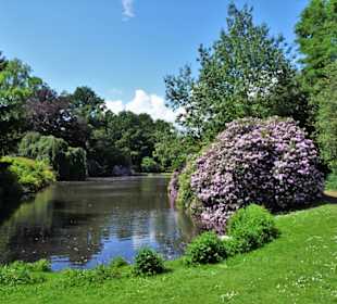 Rundgang durch den Schlossgarten Oldenburg
