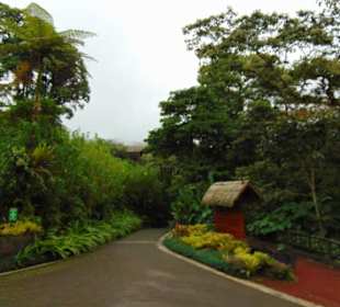 La Paz Waterfall Gardens