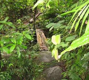 Brücke zum Wasserfall