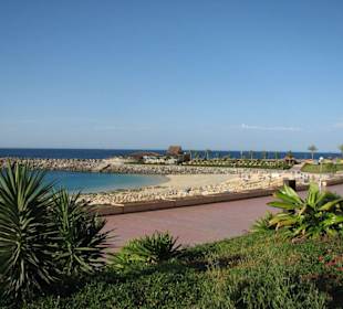 Januar 2008 ein weiterer neuer Blick