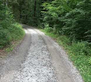 Wanderweg Märchensee Runde