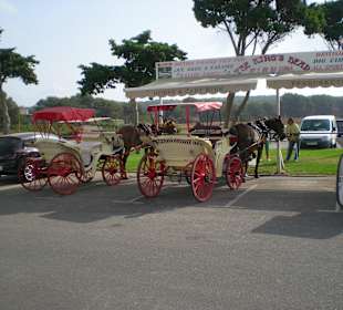 Strandpromenade Sa Coma