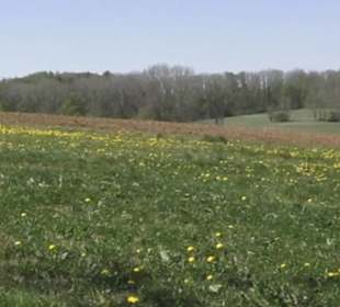 Hochgehsiedelt am Heidengraben