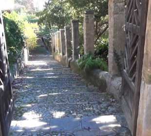 Gartenanlage - Botanischer Garten