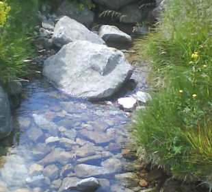 Tatrzański Park Narodowy