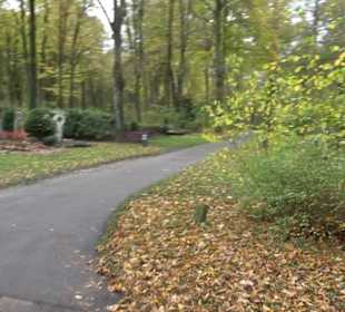 Waldfriedhof