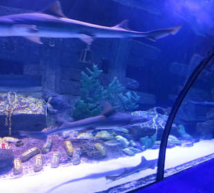 Imitation: Versunkener Goldschatz 