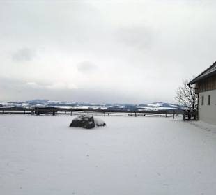 Gut Aiderbichl viel Schnee