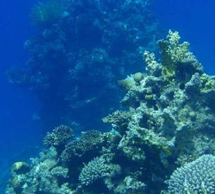 Riff am Blue Hole