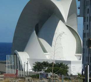 Auditorium auf Teneriffa