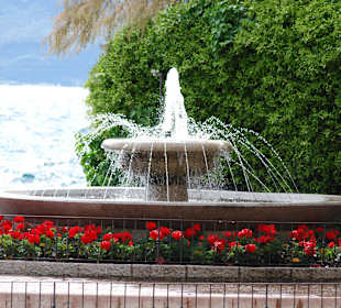 Brunnen