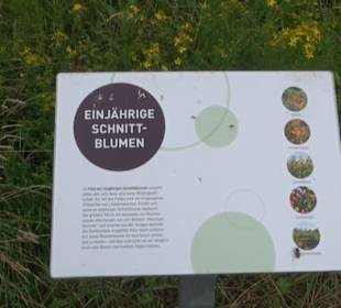 ALB-GOLD Naturgarten