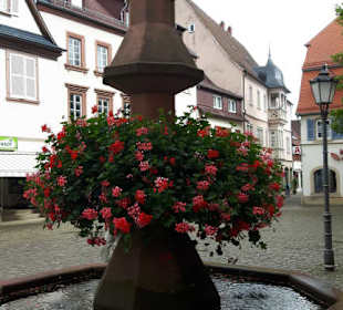 Stadtrundgang Bad Bergzabern