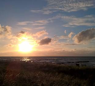 Letzter Blick am Abend!