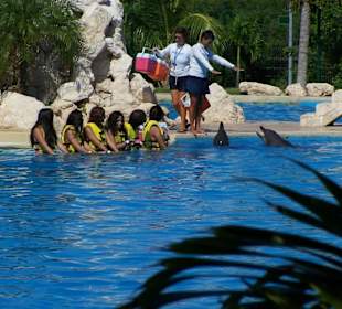 Dolphinaris Cancun