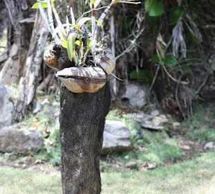 Manati Park