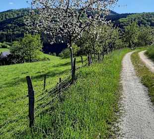 Wandern Lennestadt
