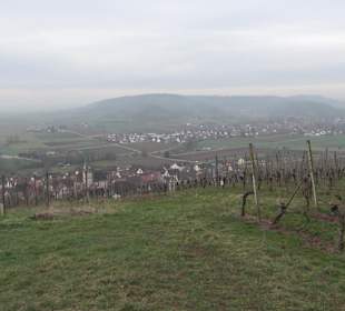 Unterjesinger Wengertwegle