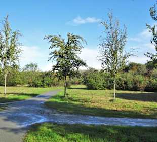 Rundgang durch den Landschaftspark Mühlenhunte