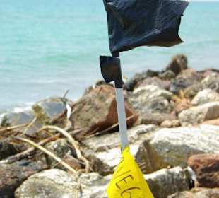 Strand von Bibione 06-2010