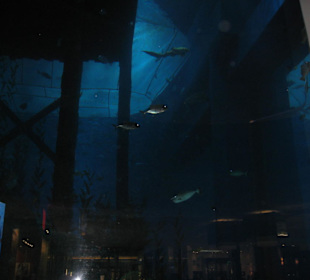 Von Außen ohne Eintrittspreis zu zahlen