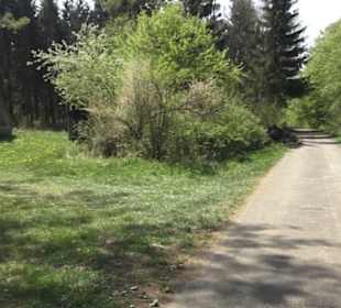 Waldlehrpfad an der Lauter