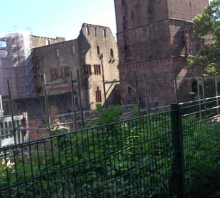 Schloss Heidelberg