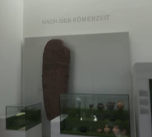 Rheinisches Landesmuseum