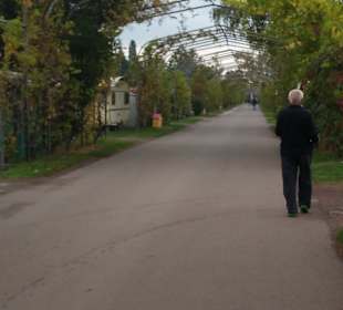 Weg