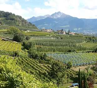 Blick vom Waalweg zum Hirzer